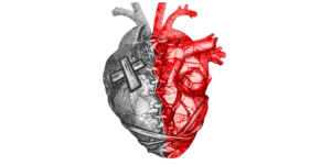 Read more about the article Troubled Heart